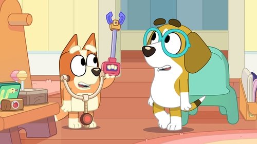 Bluey - S1E18: The Doctor