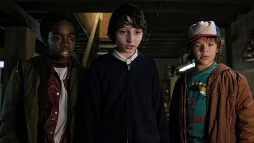Stranger Things - S1E2: Chapter Two: The Weirdo on Maple Street