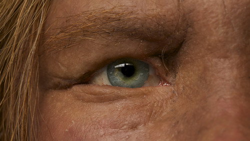NOVA - S40E7: Decoding Neanderthals