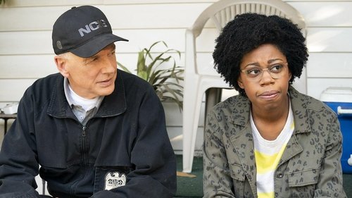 NCIS - S17E6: Institutionalized