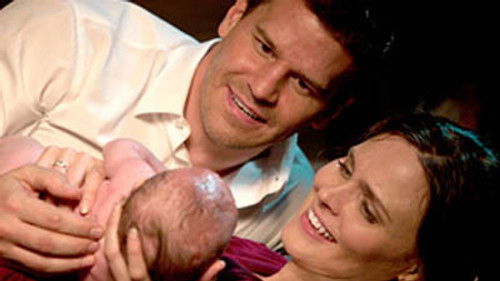 Bones - S7E7: The Prisoner in the Pipe