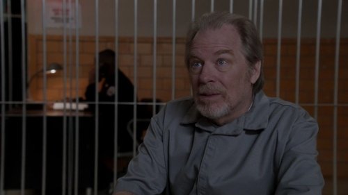 Law & Order: Special Victims Unit - S13E13: Father's Shadow