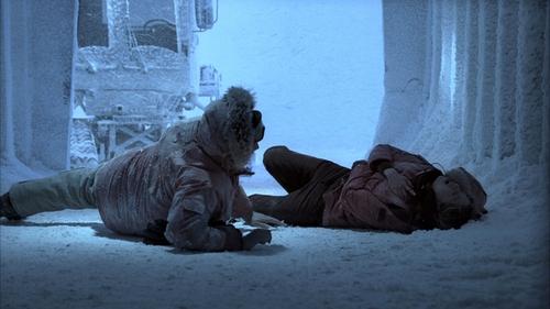 House - S4E11: Frozen