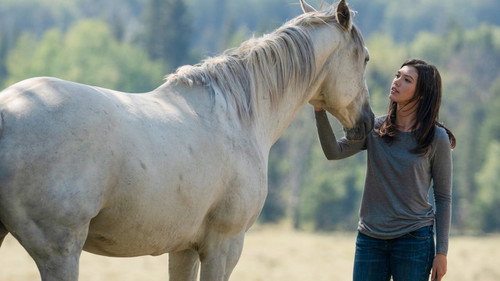 Heartland - S12E10: All Hearts Lead Home