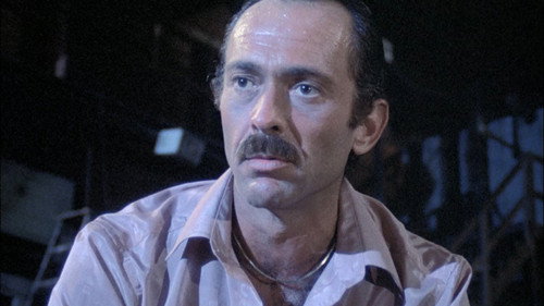 Hill Street Blues - S3E4: Rain of Terror