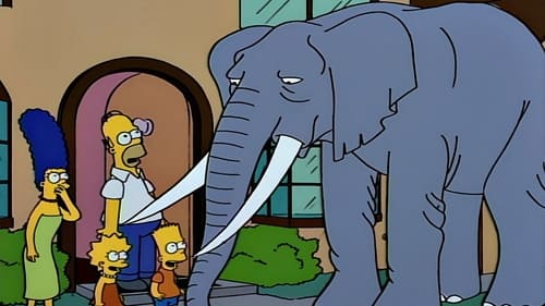 The Simpsons - S5E17: Bart Gets an Elephant