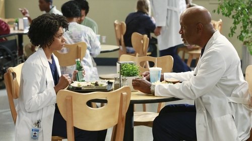 Grey's Anatomy - S11E2: Puzzle with a Piece Missing