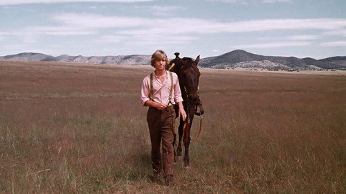 Little House on the Prairie - S4E11: Meet Me At the Fair