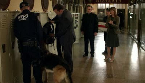 Blue Bloods - S1E6: Smack Attack