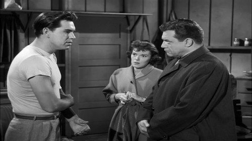 Perry Mason - S3E11: The Case of the Violent Village