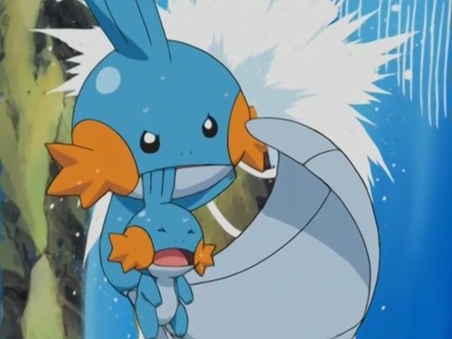 Pokémon - S6E25: A Mudkip Mission