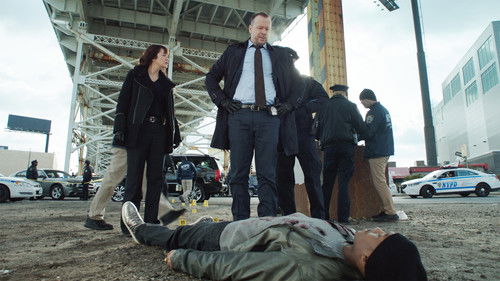 Blue Bloods - S7E14: In & Out
