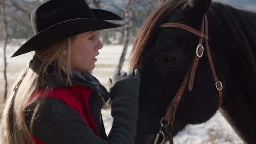 Heartland - S14E5: Outsiders