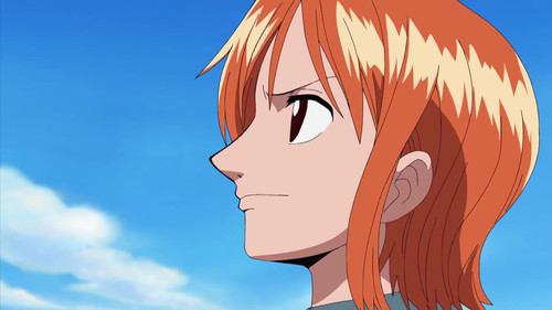One Piece - S9E281: A Bond of Friendship Woven by Tears! Nami's World Map!