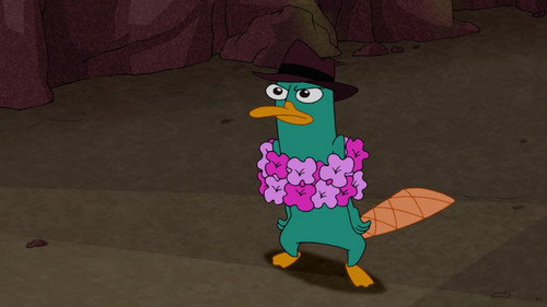 Phineas and Ferb - S2E53: Phineas and Ferb Hawaiian Vacation (1)
