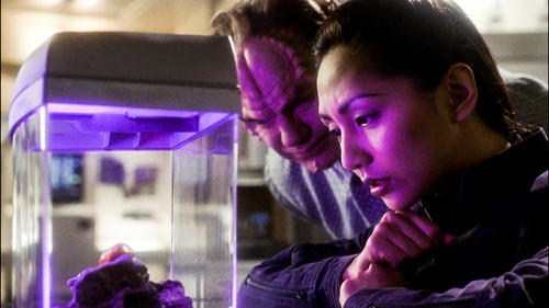Star Trek: Enterprise - S1E3: Fight or Flight