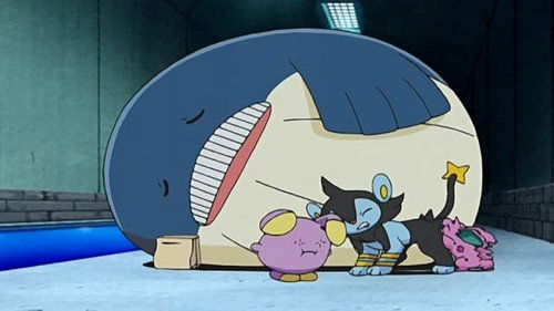 Pokémon - S12E5: Leading a Stray!