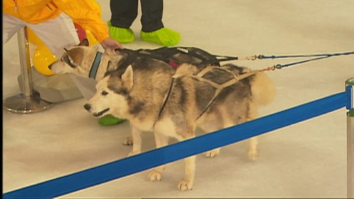 Infinite Challenge - S1E20: Drag the Sled Challenge