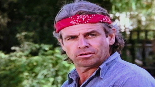 Knots Landing - S9E20: Bouncing Babies