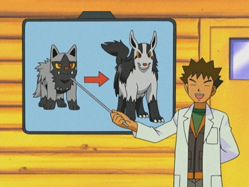 Pokémon - S6E11: A Bite to Remember