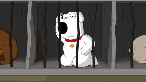 Family Guy - S16E15: The Woof of Wall Street