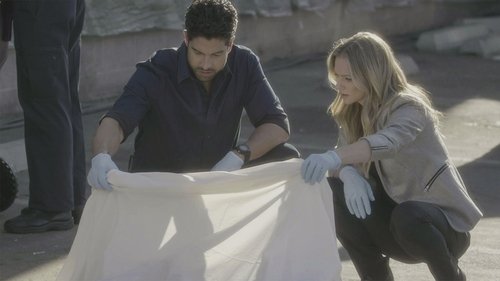 Criminal Minds - S12E12: A Good Husband