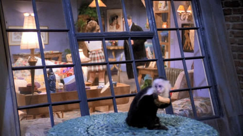 Friends - S1E19: The One Where the Monkey Gets Away