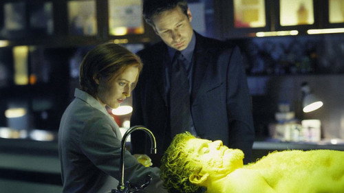The X-Files - S7E21: Je Souhaite