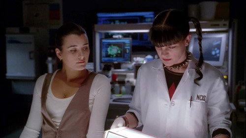 NCIS - S6E17: South by Southwest
