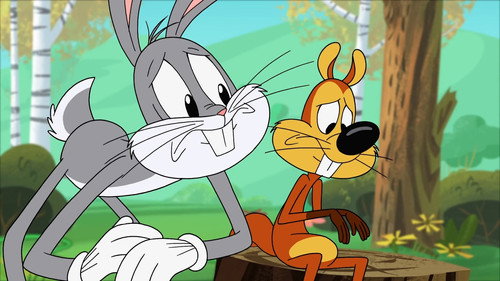 New Looney Tunes - S1E9: For the Love of Acorns