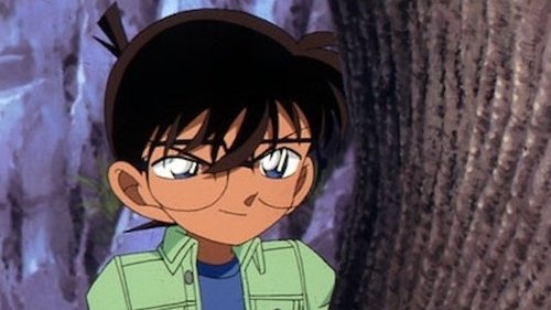 Detective Conan - S1E314: Broken Fence of the Observatory