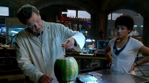 Fringe - S2E3: Fracture