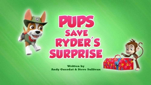 PAW Patrol - S7E20: Pups Save Ryder's Surprise