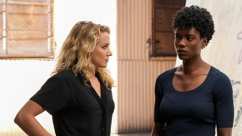 FBI - S5E4: Victim