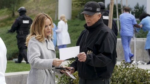 NCIS - S16E19: Perennial