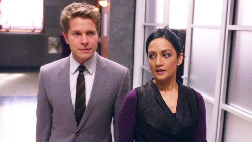 The Good Wife - S2E12: Silly Season