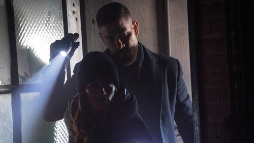 FBI - S7E19: Partner