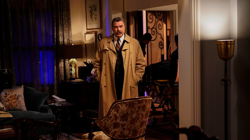 Blue Bloods - S10E4: Another Look