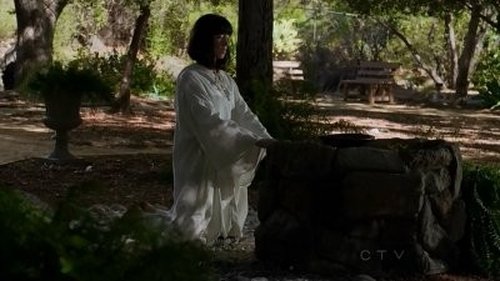 Criminal Minds - S8E11: Perennials