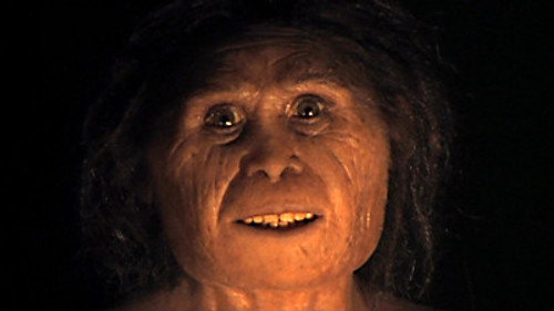 NOVA - S36E5: Alien From Earth