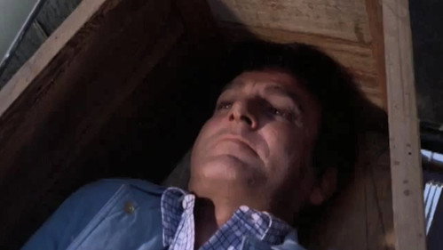 Mannix - S8E21: Bird of Prey (2)