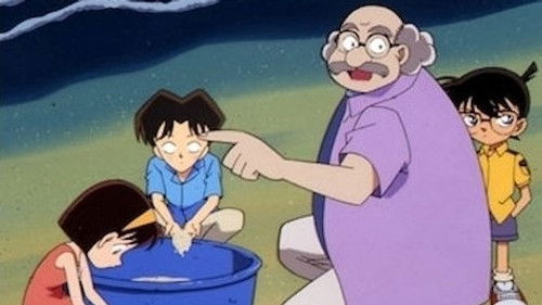 Detective Conan - S1E247: The Mystery in the Net (2)