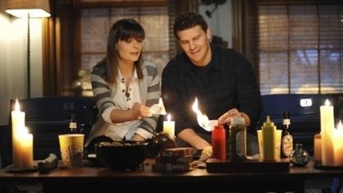 Bones - S6E16: The Blackout in the Blizzard