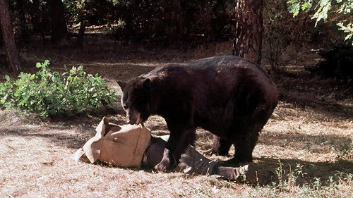 Little House on the Prairie - S2E12: His Father's Son