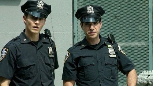 Blue Bloods - S3E4: Scorched Earth