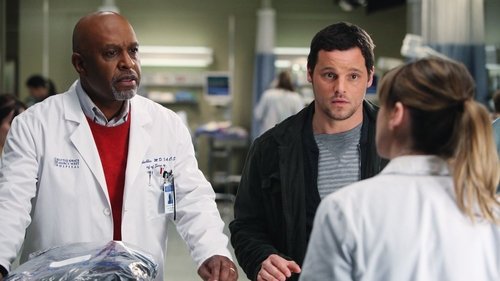Grey's Anatomy - S7E15: Golden Hour