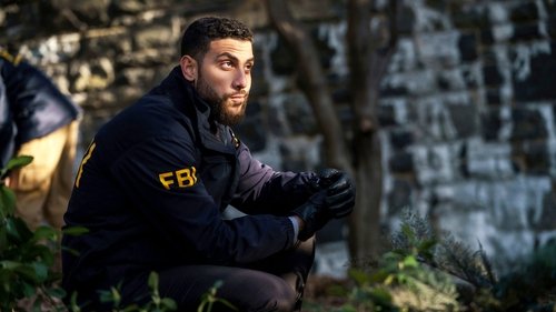 FBI - S2E19: Emotional Rescue