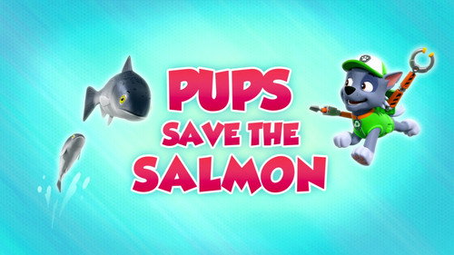 PAW Patrol - S8E17: Pups Save the Salmon