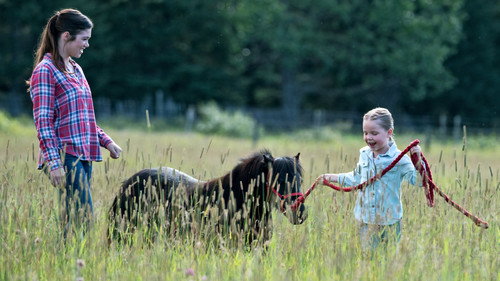 Heartland - S10E9: A Horse with No Rider