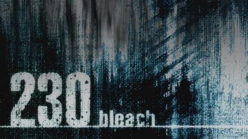 Bleach - S1E230: A New Enemy! The Materialization of Zanpakutō